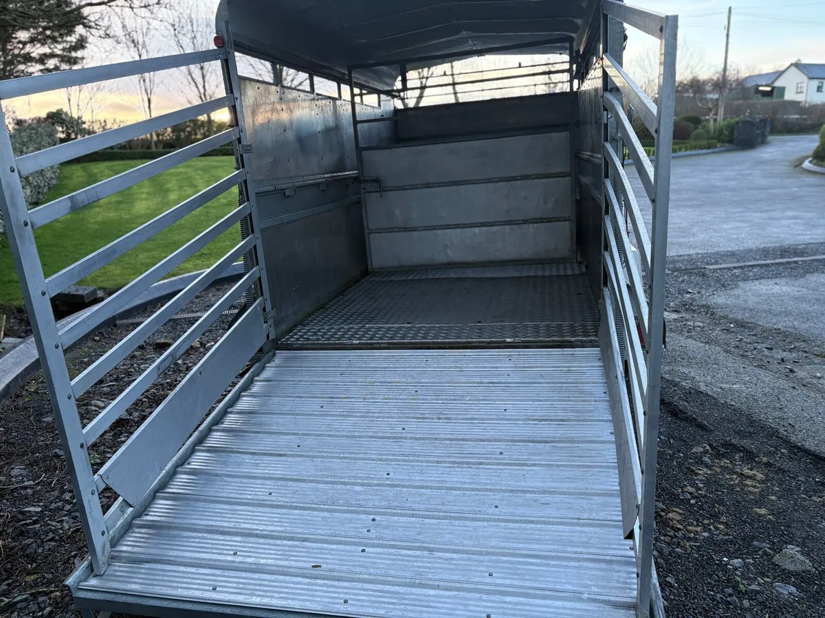 Indespension 12 X 6 Livestock trailer - Image 3