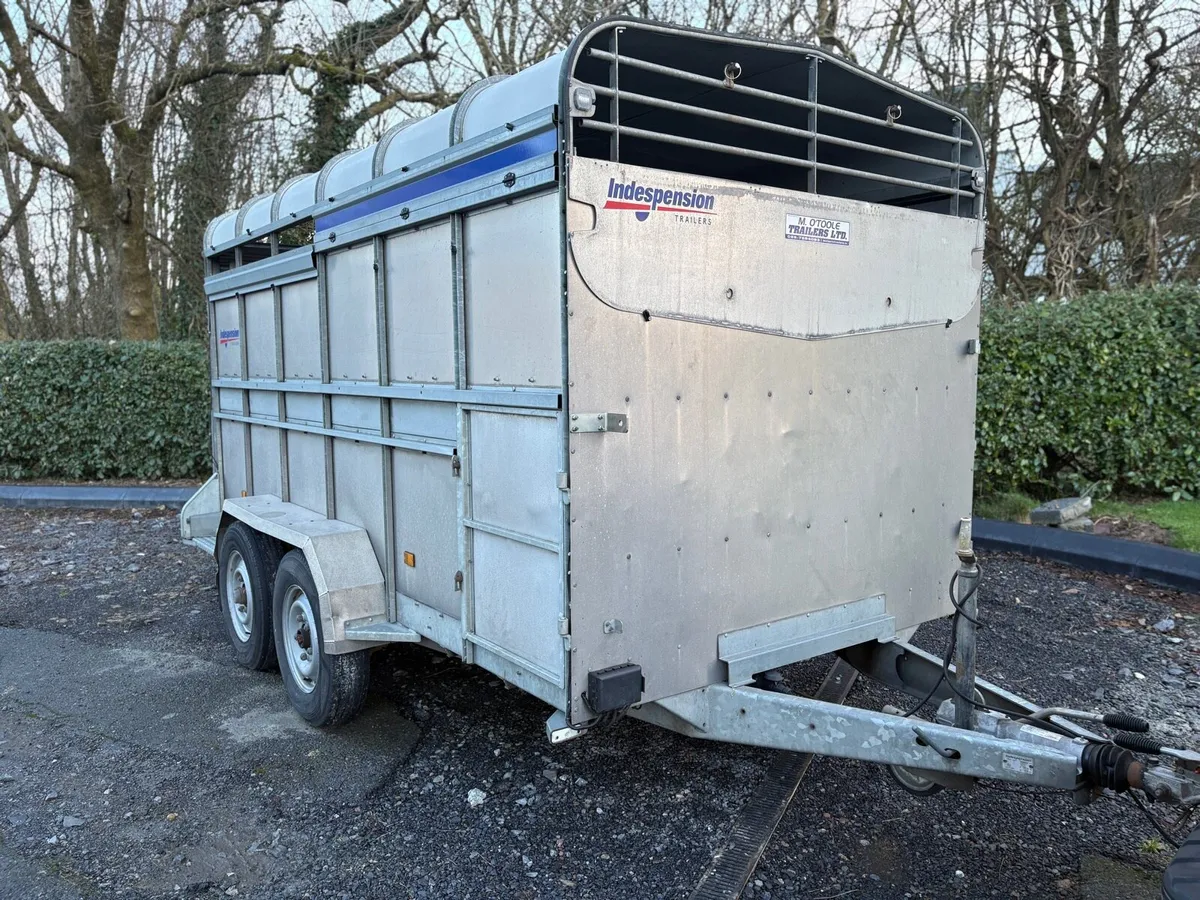 Indespension 12 X 6 Livestock trailer - Image 1