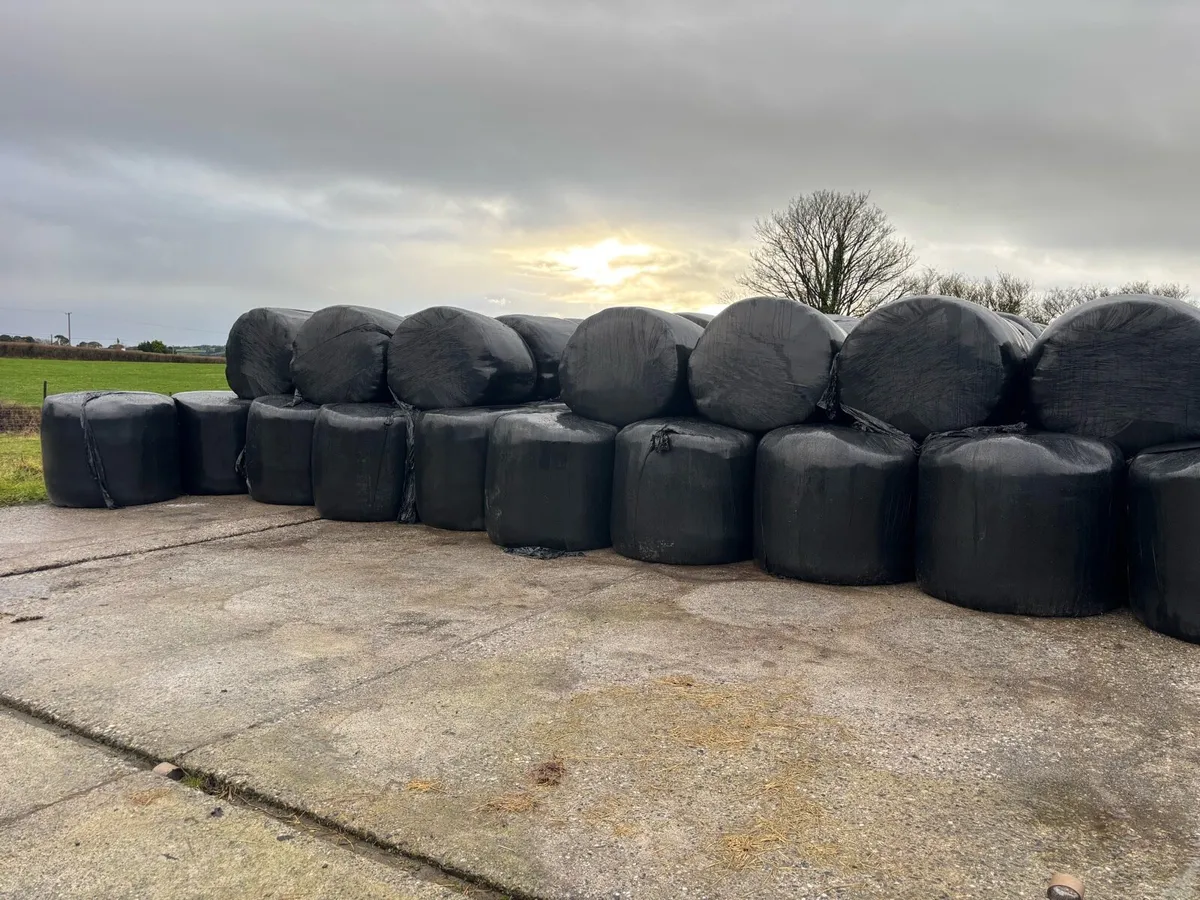 Silage Bales - Image 1