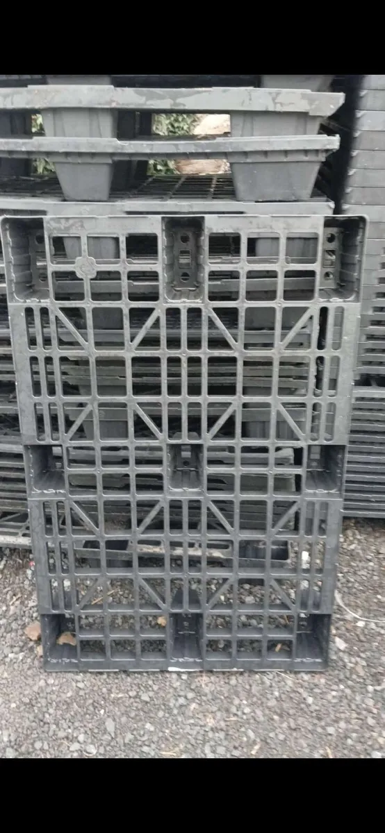 400 plastic pallets 
All in good condition - Image 3