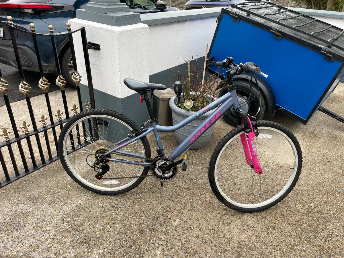 Girls mountain bike - Image 2