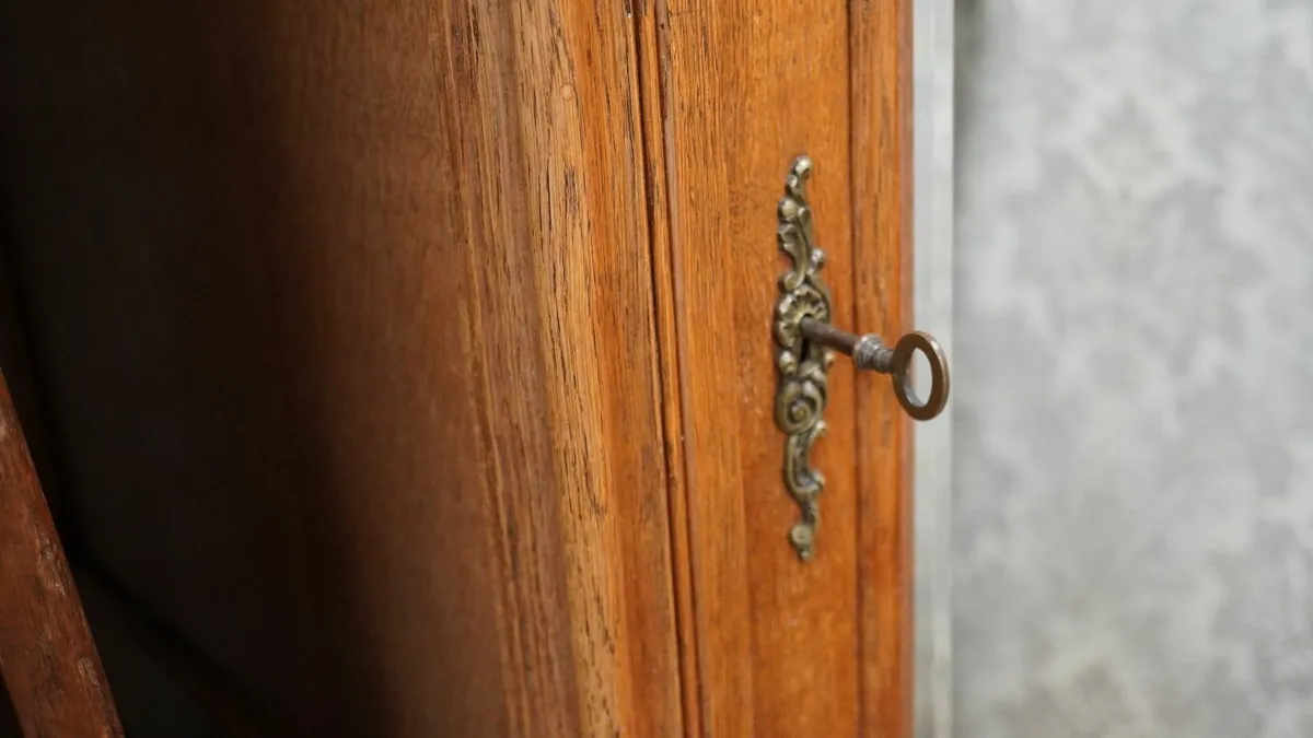 Grand Palais_Antique French Single-Door Armoire - Image 4