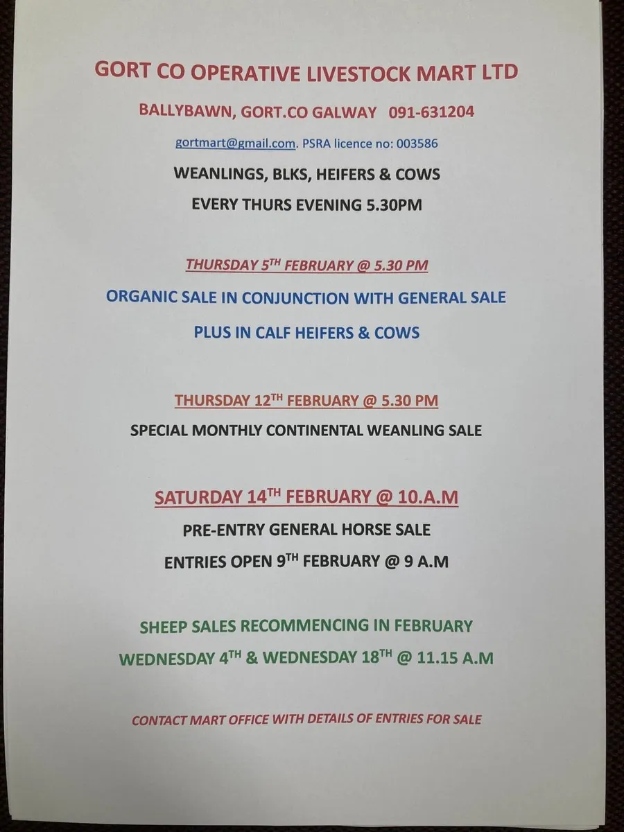 Gort Mart:Pre entry General Horse Sale: Sat 14th F - Image 4