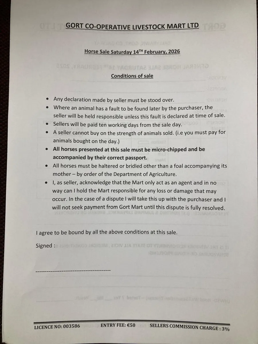 Gort Mart:Pre entry General Horse Sale: Sat 14th F - Image 2