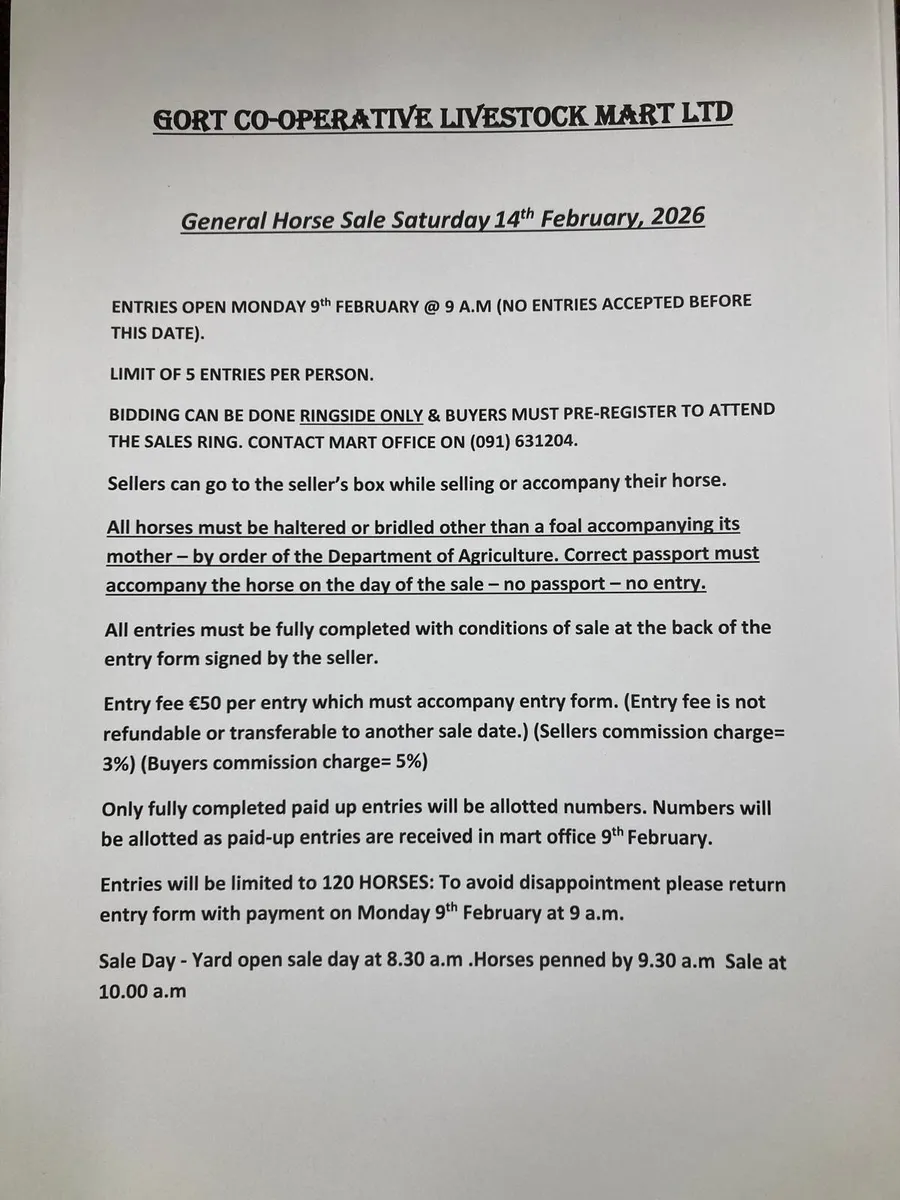 Gort Mart:Pre entry General Horse Sale: Sat 14th F - Image 3