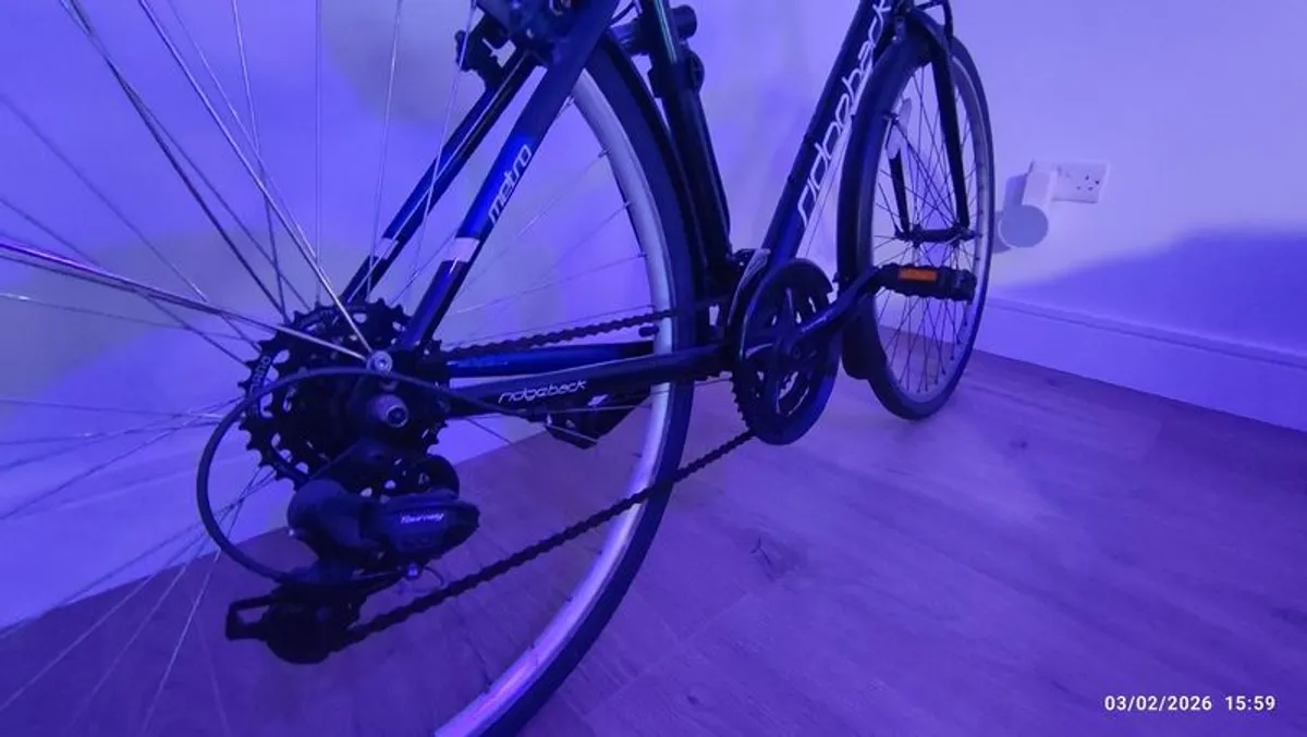 Ridgeback Adult Bike - Image 2