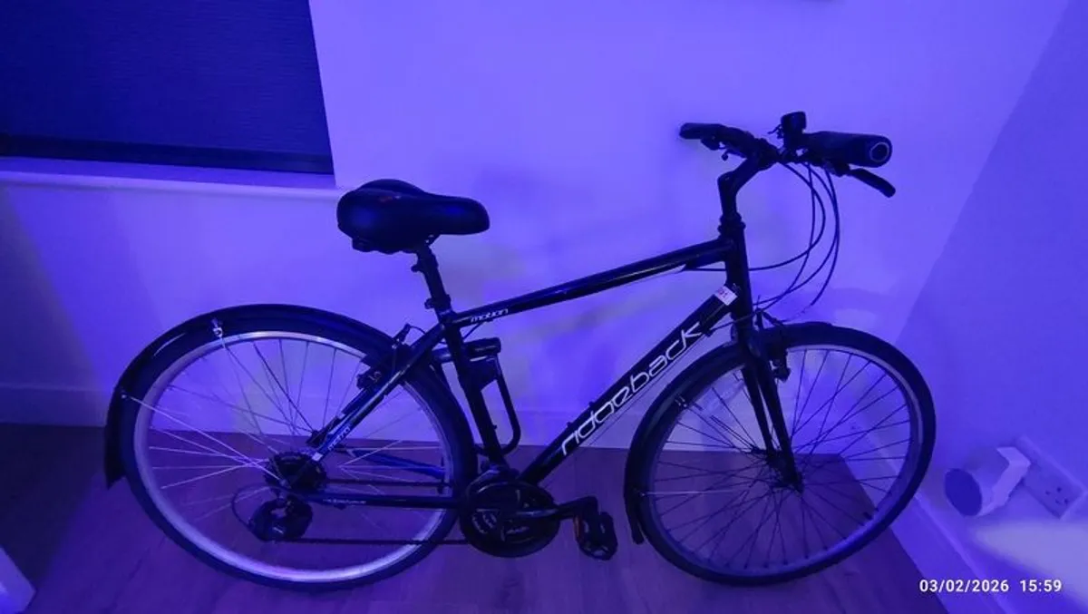 Ridgeback Adult Bike - Image 1