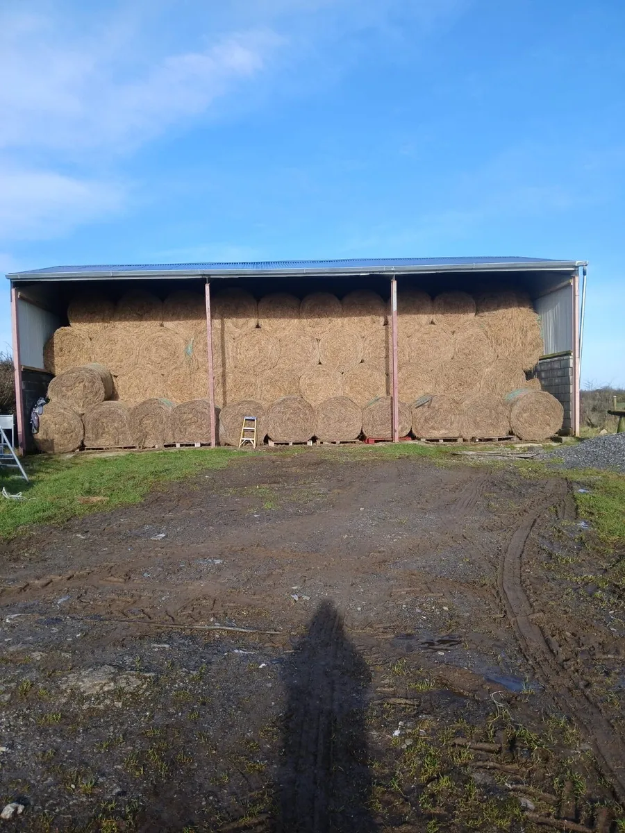 Bales of hay - Image 1