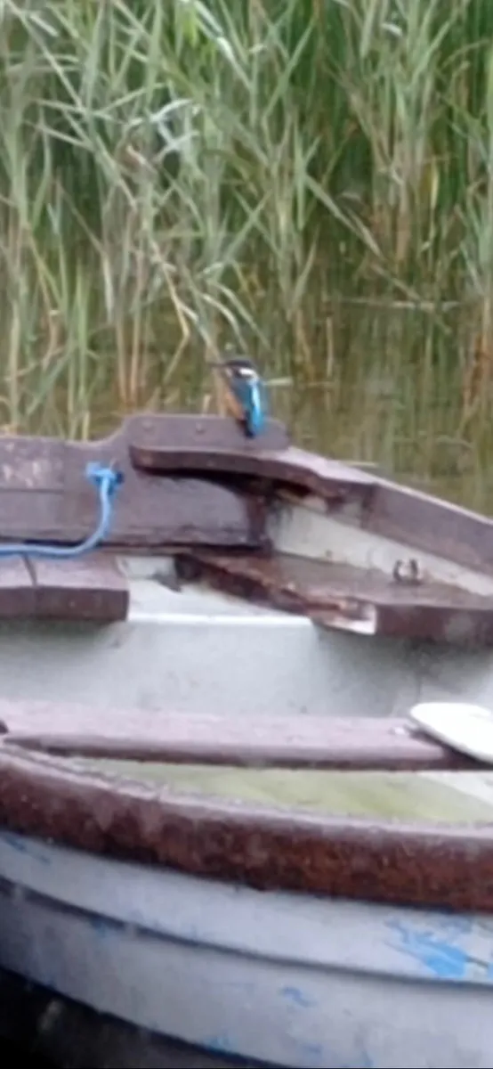 Lake boat - Image 1
