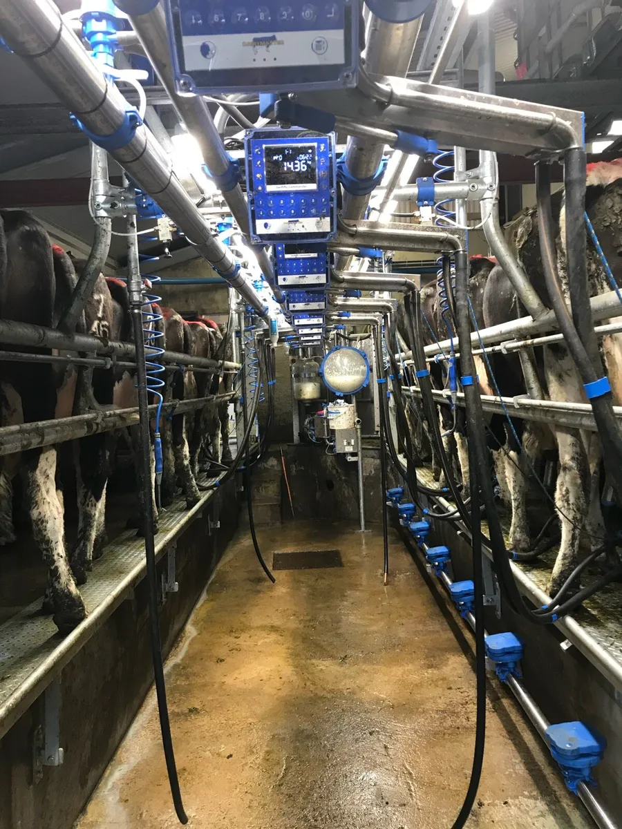 Relief Milker available - Image 1