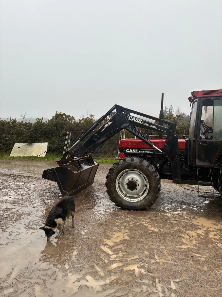 Tractor loader - Image 4