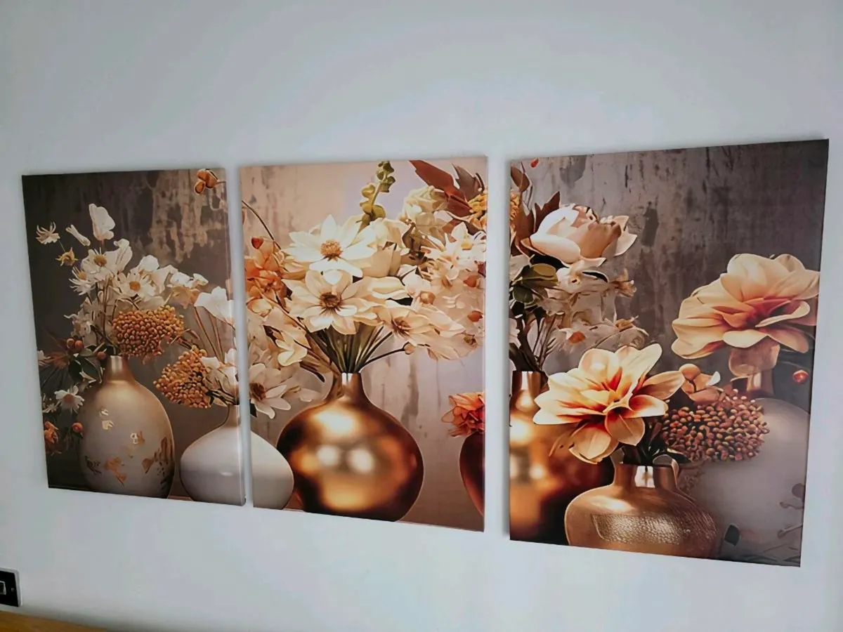 3 canvas 46x66cm each size - Image 1