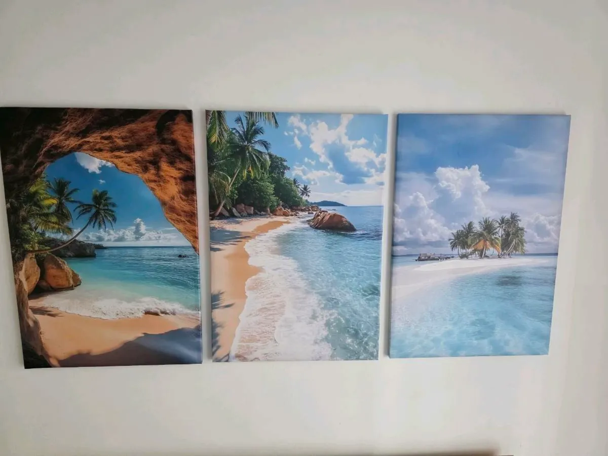 3 canvas 46x66cm each size - Image 4