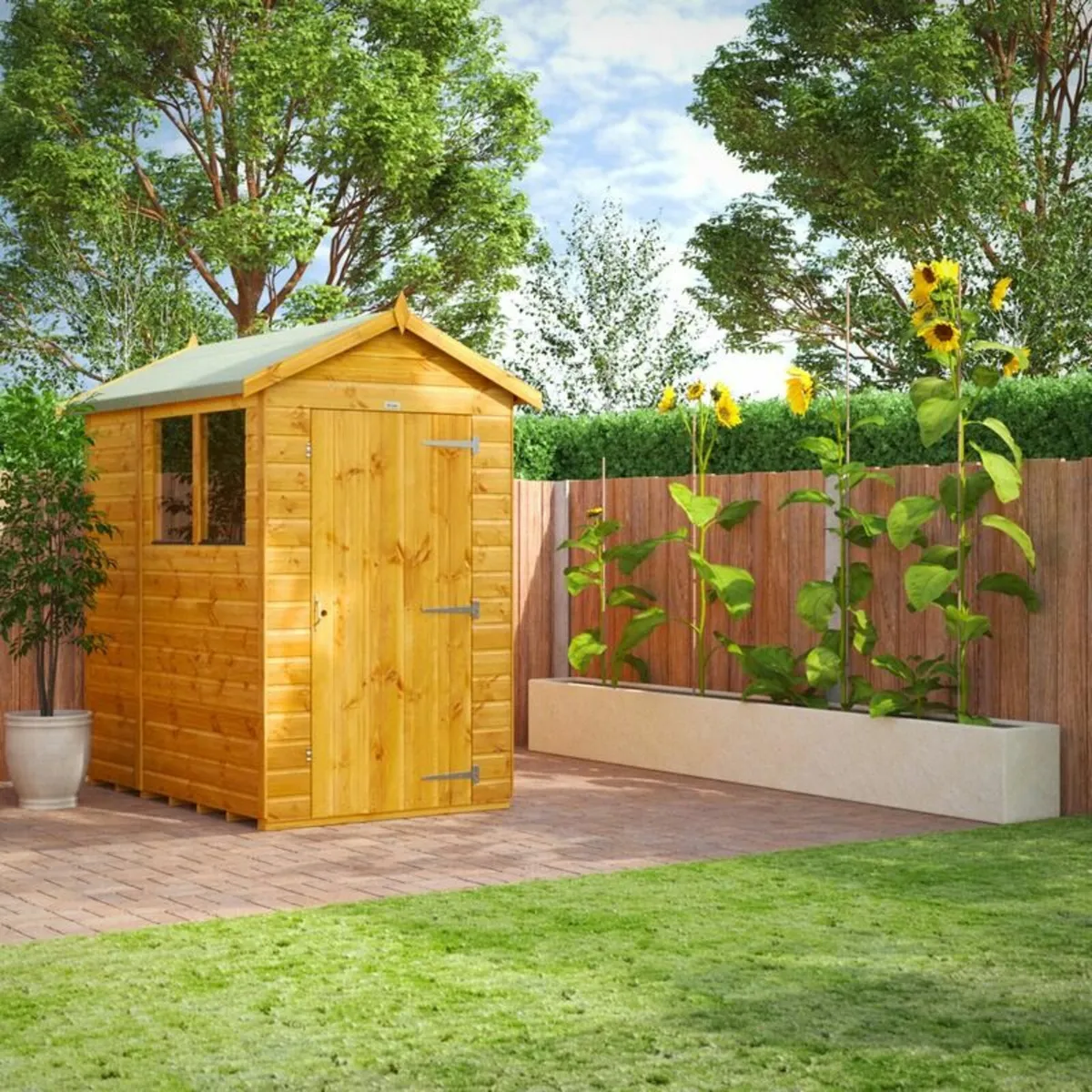 Coola Deluxe 6×4 Apex T&G Timber Shed In Stock - Image 1