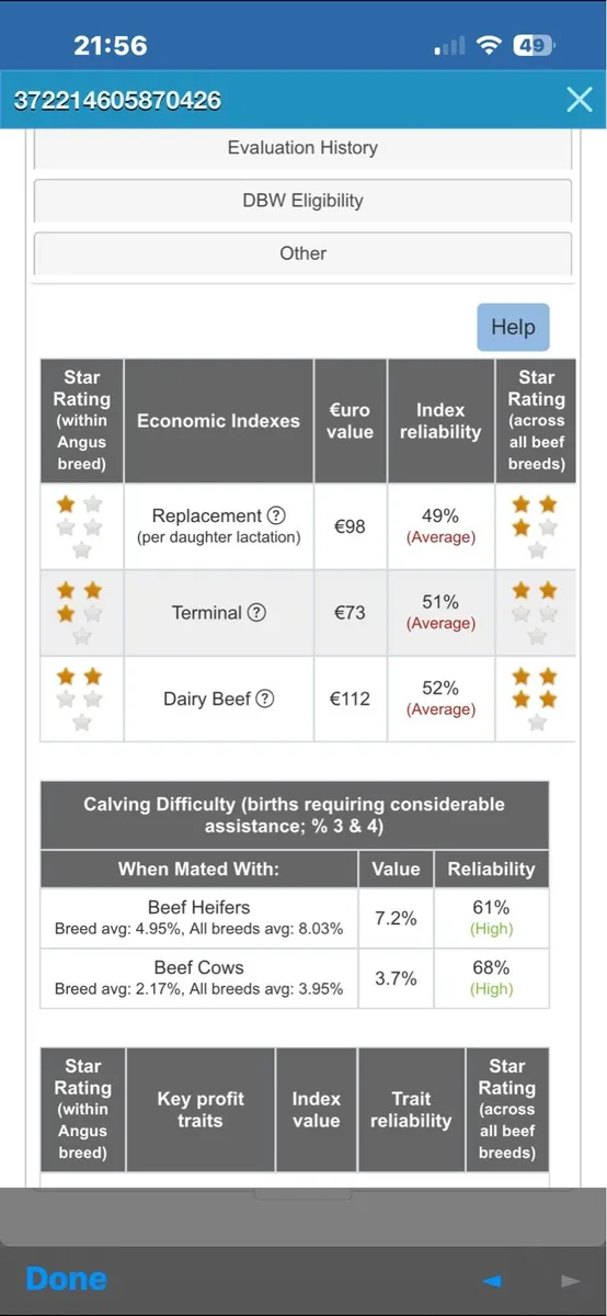 Aberdeen Angus Bull - Image 4