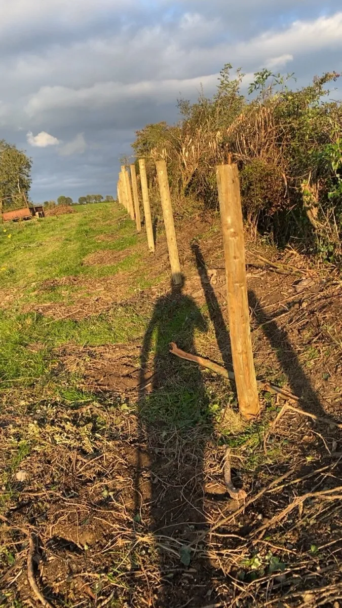 Fencing , mole ploughing - Image 1