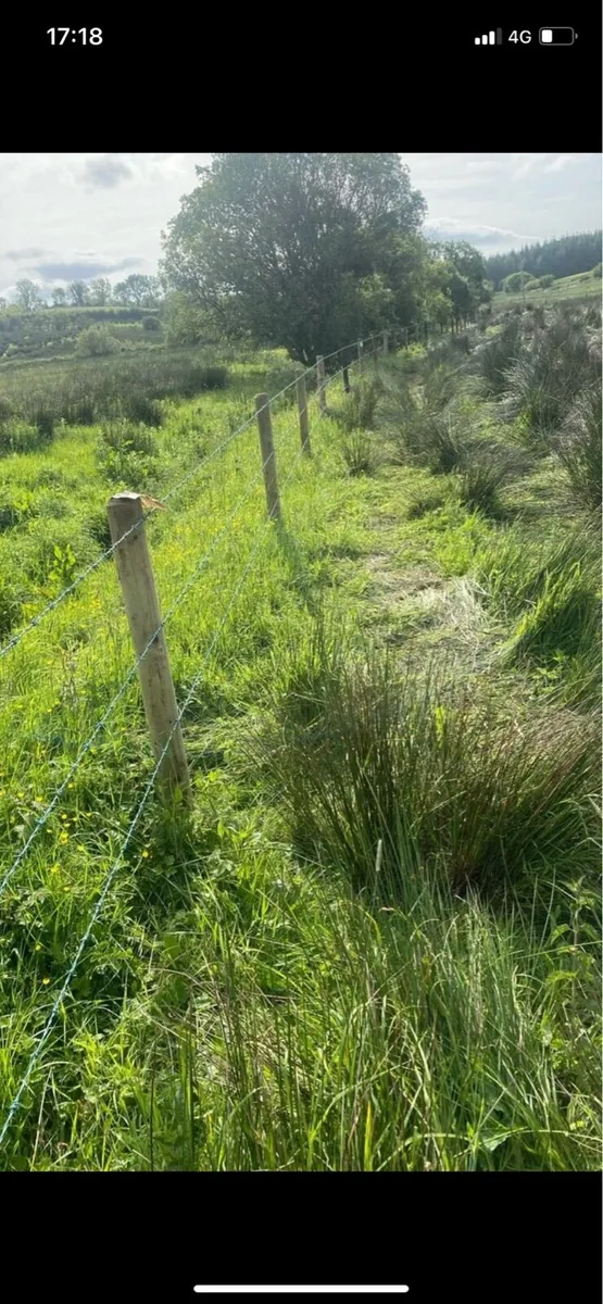 Fencing , mole ploughing - Image 2