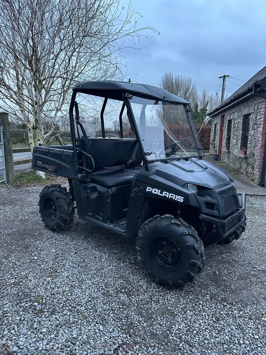 Electric Polaris - Image 2