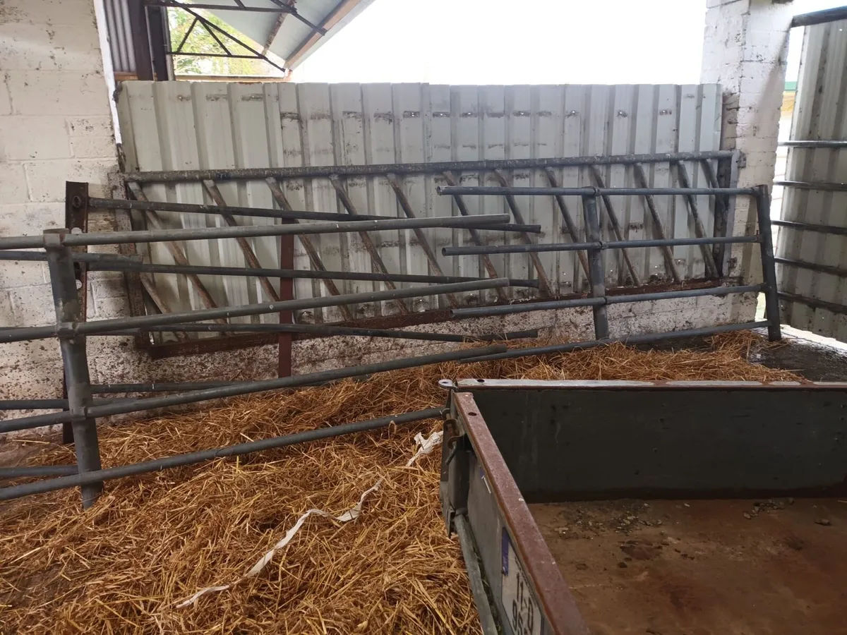 Cattle Crush Barrier - Image 1