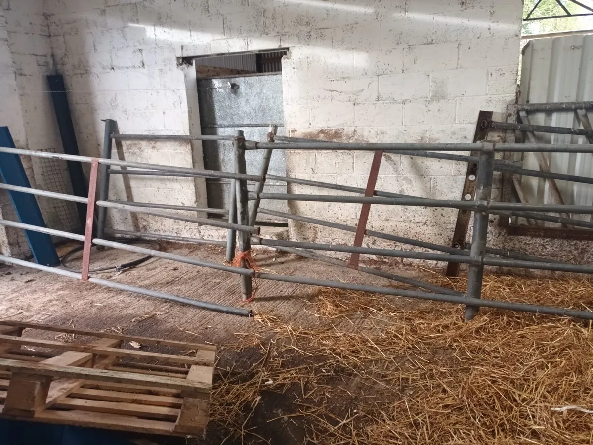 Cattle Crush Barrier - Image 2