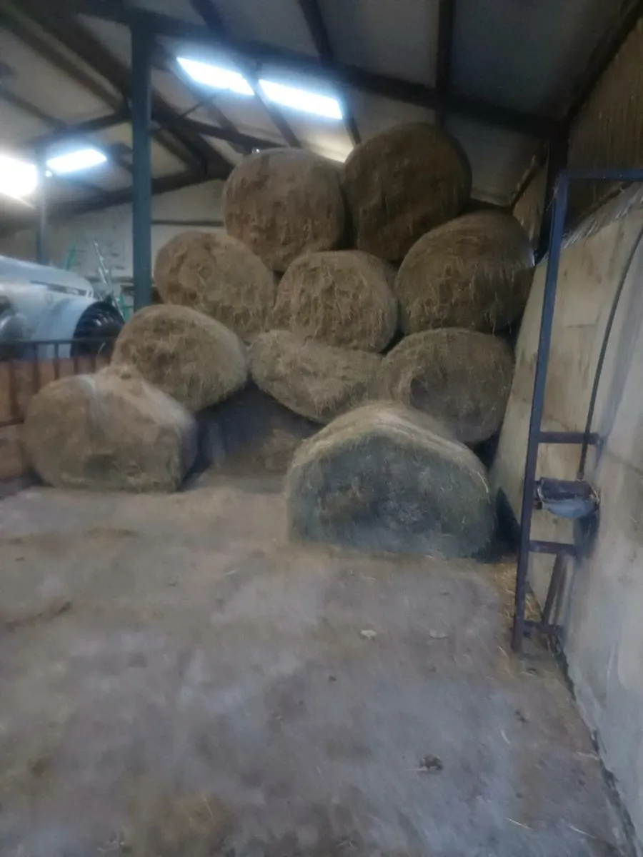 Round bales of hay