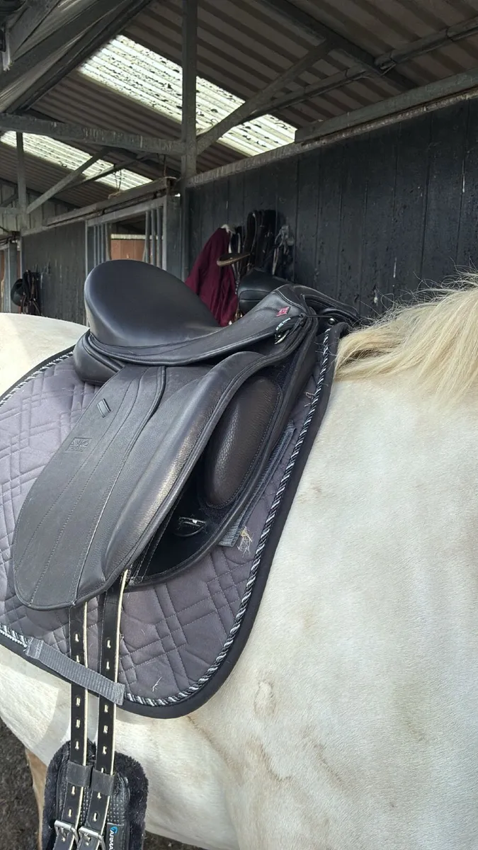 GFS Dressage Saddle - Image 2