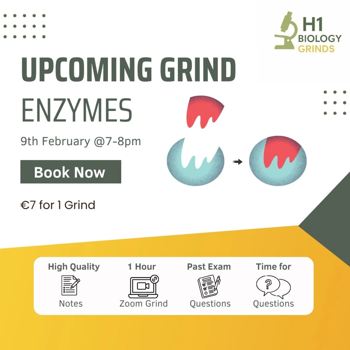 LC Biology Weekly Grinds - Image 4