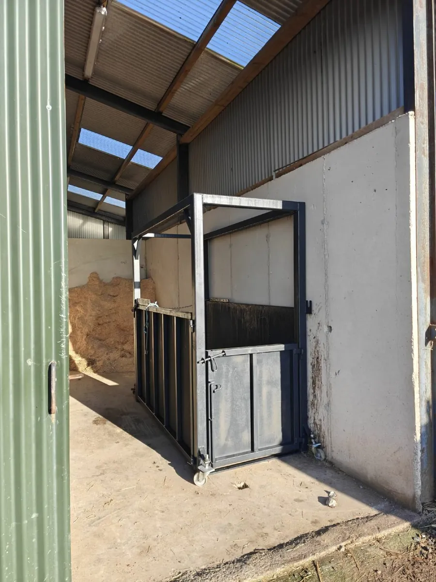 veterinary Pens - Image 2