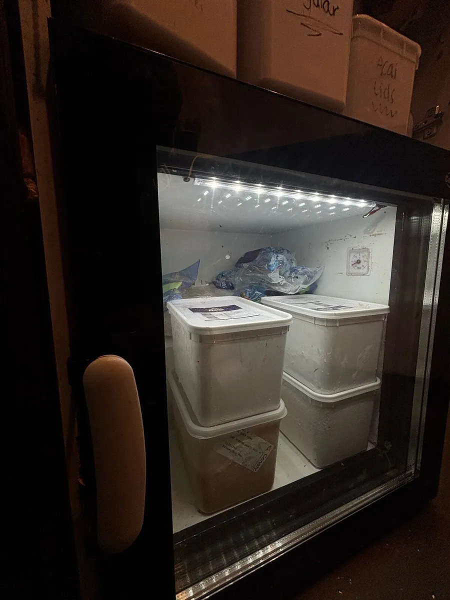 HSE Approved Coffee trailer | ready to trade - Image 4