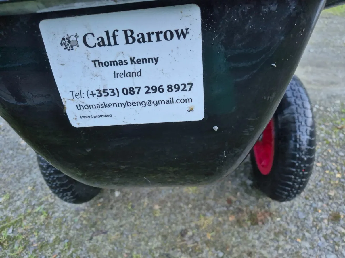 Calf Barrow - Image 1