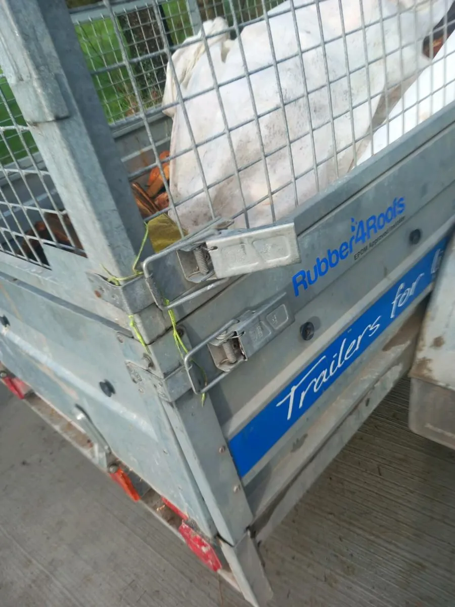 Car trailer - Image 2