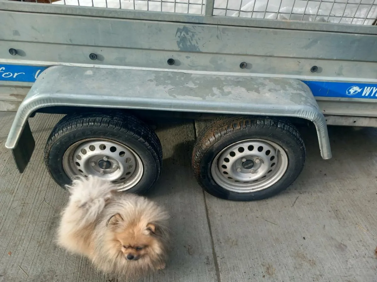 Car trailer - Image 4