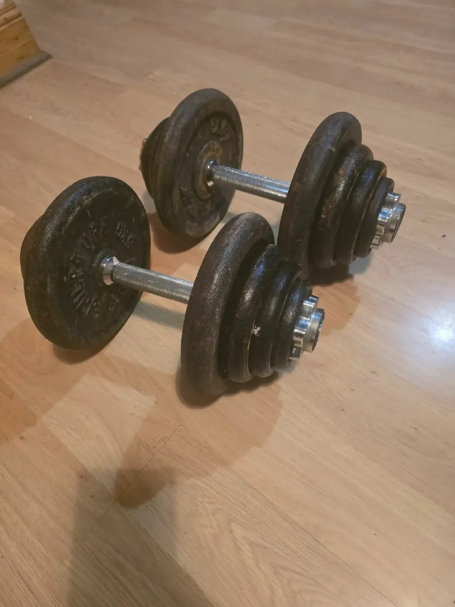 2×20kg dumbbells - Image 1
