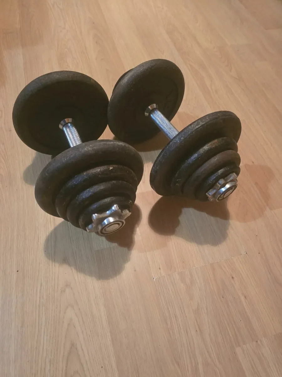 2×20kg dumbbells - Image 2