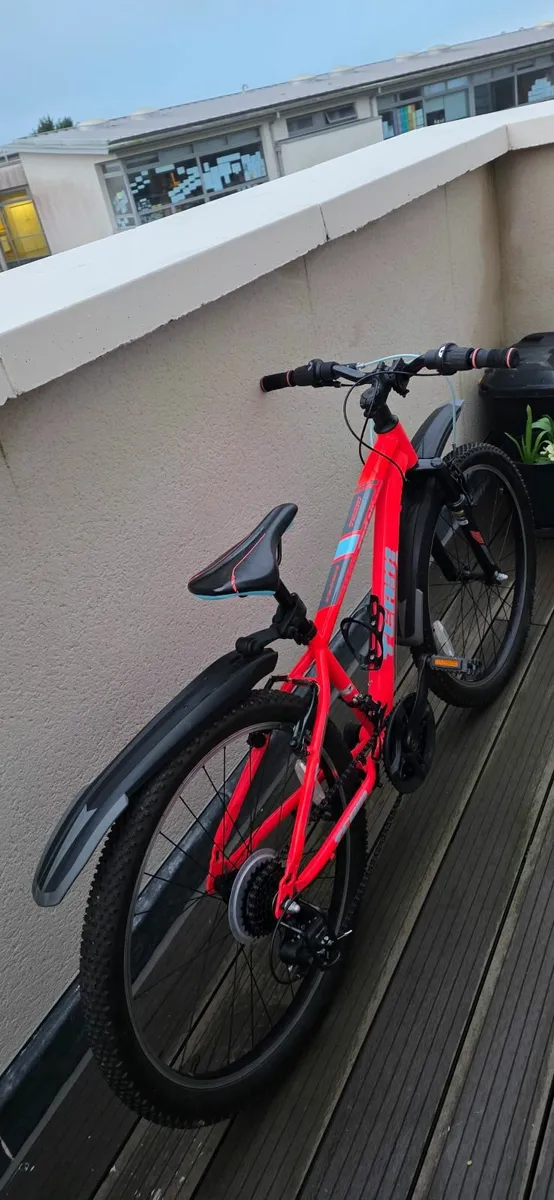 Kids 24 inch Mountain Bike Pink - Image 2