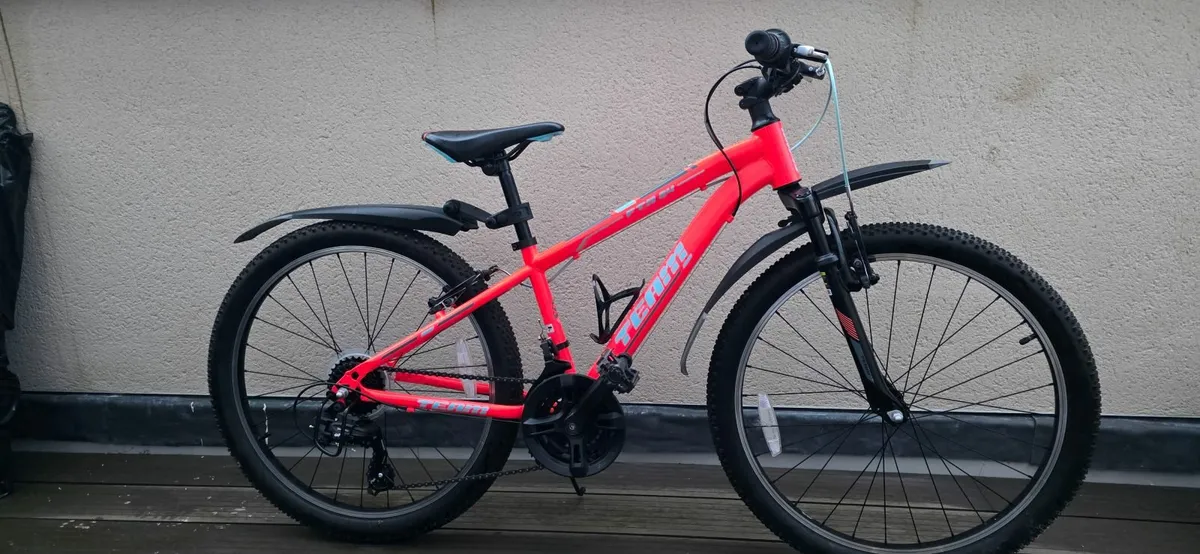 Kids 24 inch Mountain Bike Pink - Image 1