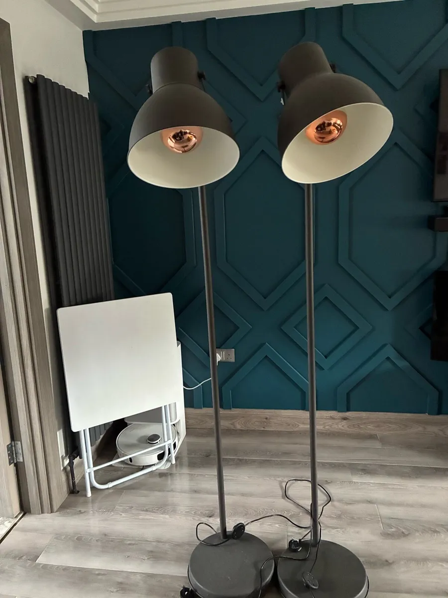 Floor Lamps with led large bulbs - Image 1