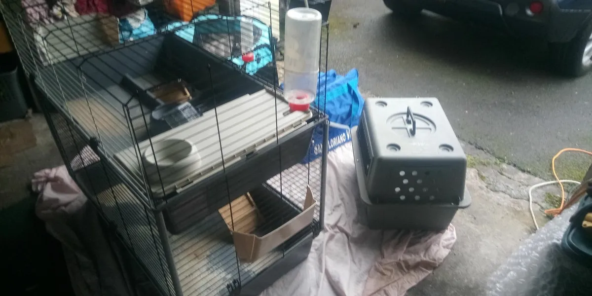 Rabbit Cage & Accessories - Image 2