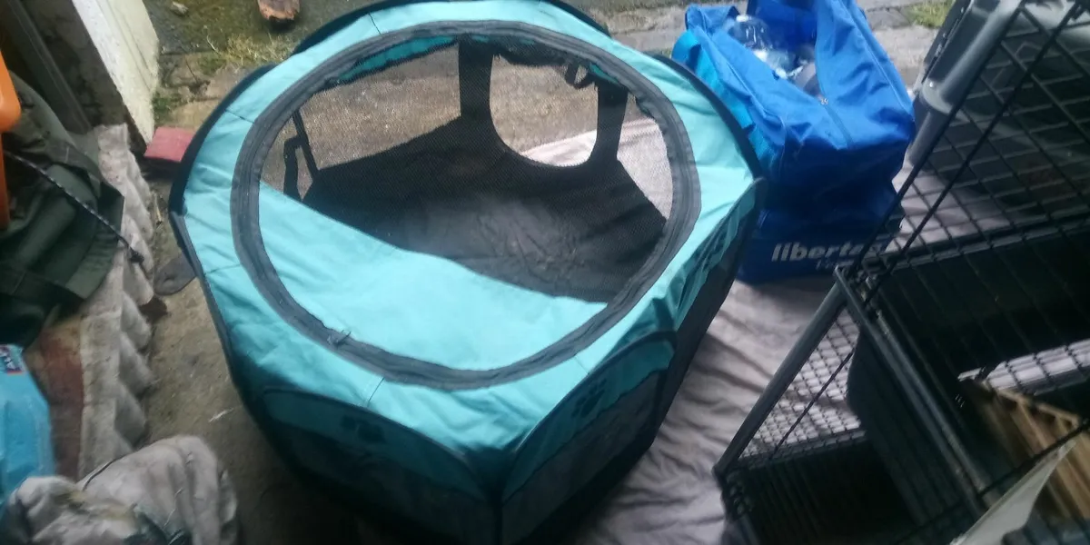 Rabbit Cage & Accessories - Image 3