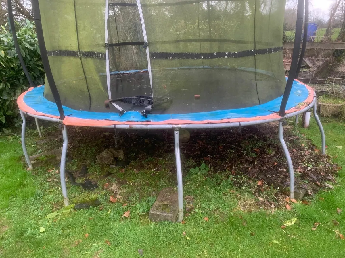 Trampoline FREE to a good home! - Image 4