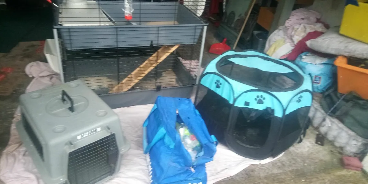 Rabbit Cage & Accessories - Image 4