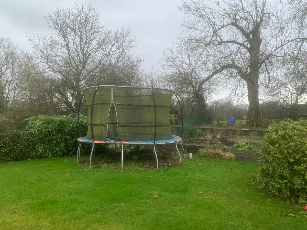 Trampoline FREE to a good home! - Image 2