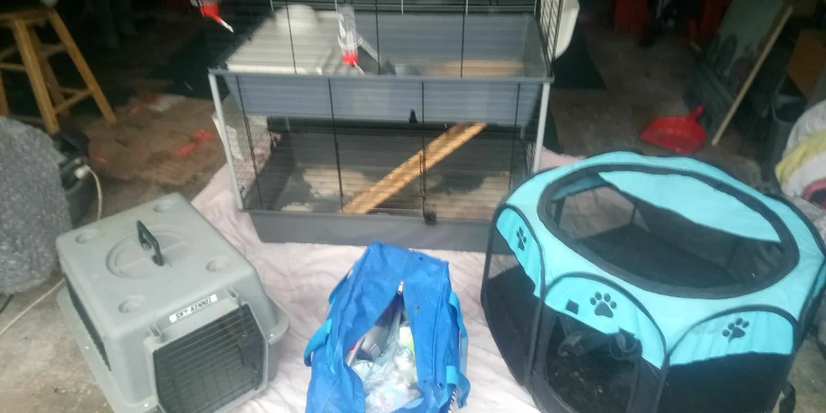 Rabbit Cage & Accessories - Image 1