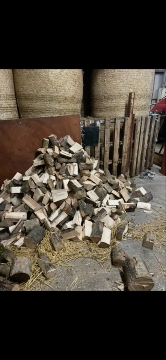 Fire wood - Image 3