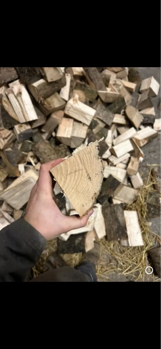 Fire wood - Image 4