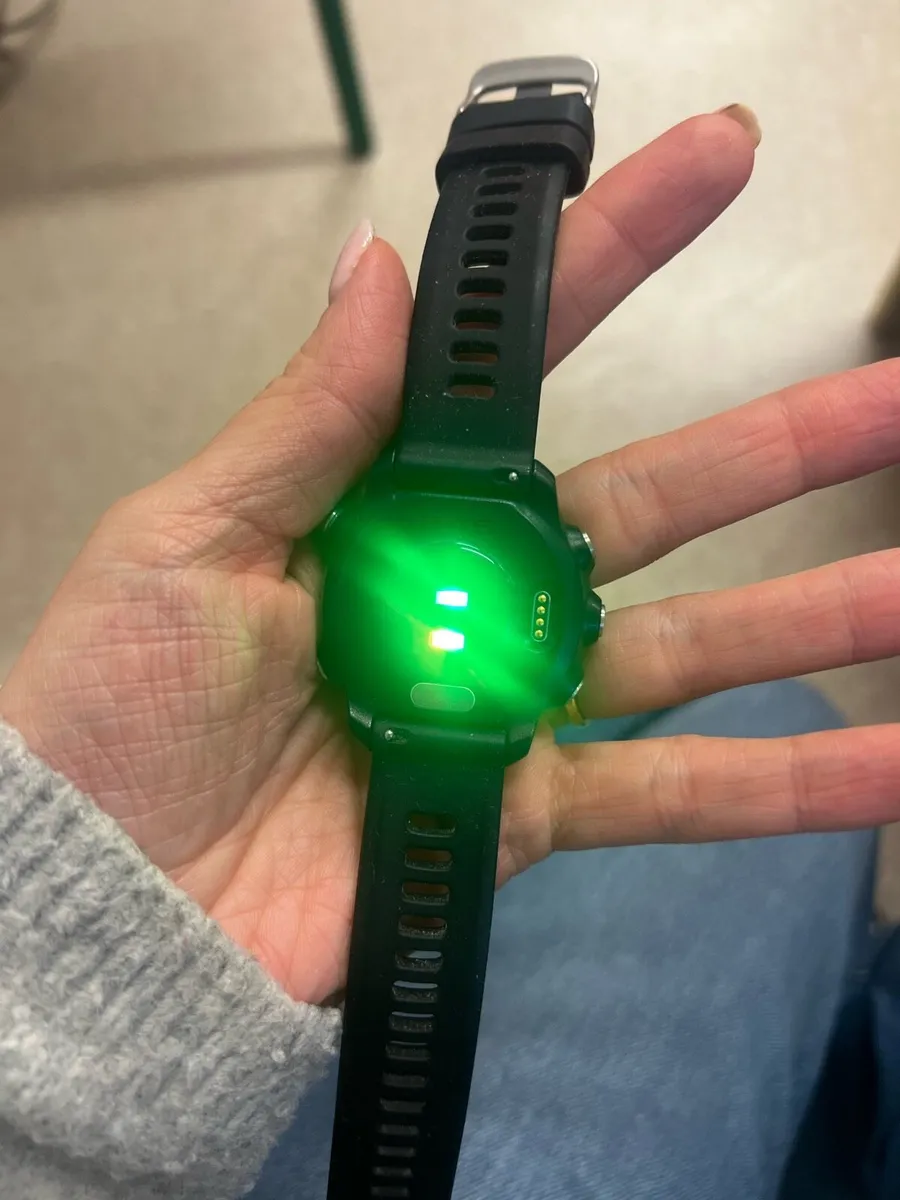 Garmin forerunner 245 - Image 2