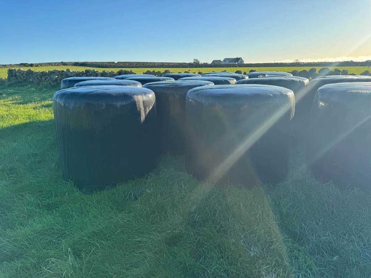 Round bales - Image 1