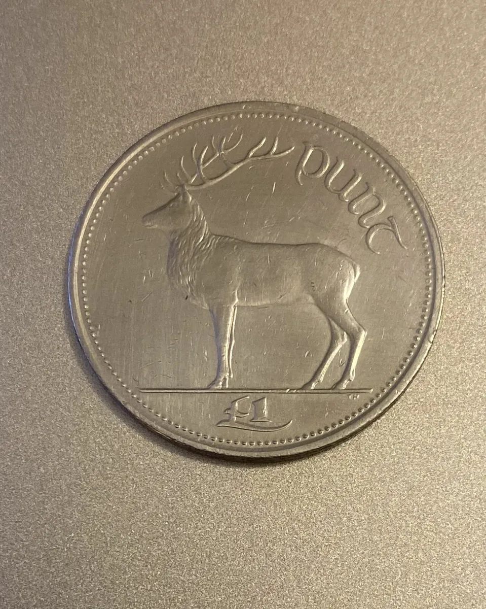 £1, Irish Red deer coin from 1999, Free Post - Image 1