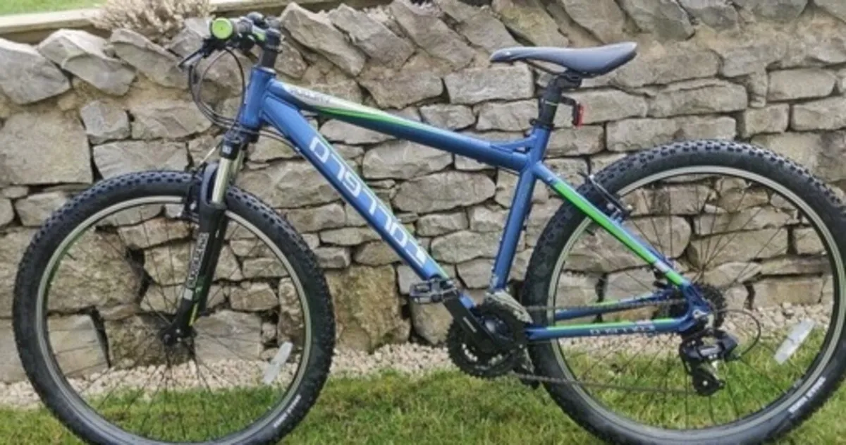 ADULTS CARRERA VELOUR BIKE FRAME: 20" MEDIUM 
WHEE - Image 1