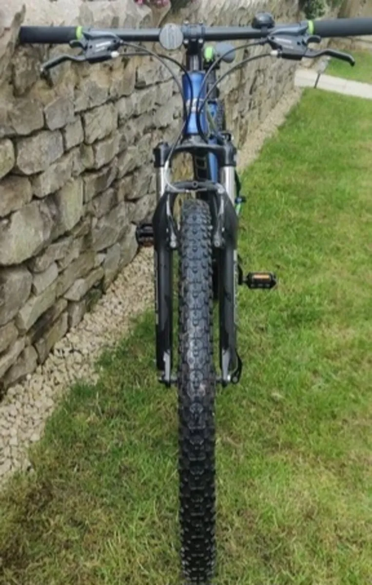 ADULTS CARRERA VELOUR BIKE FRAME: 20" MEDIUM 
WHEE - Image 2